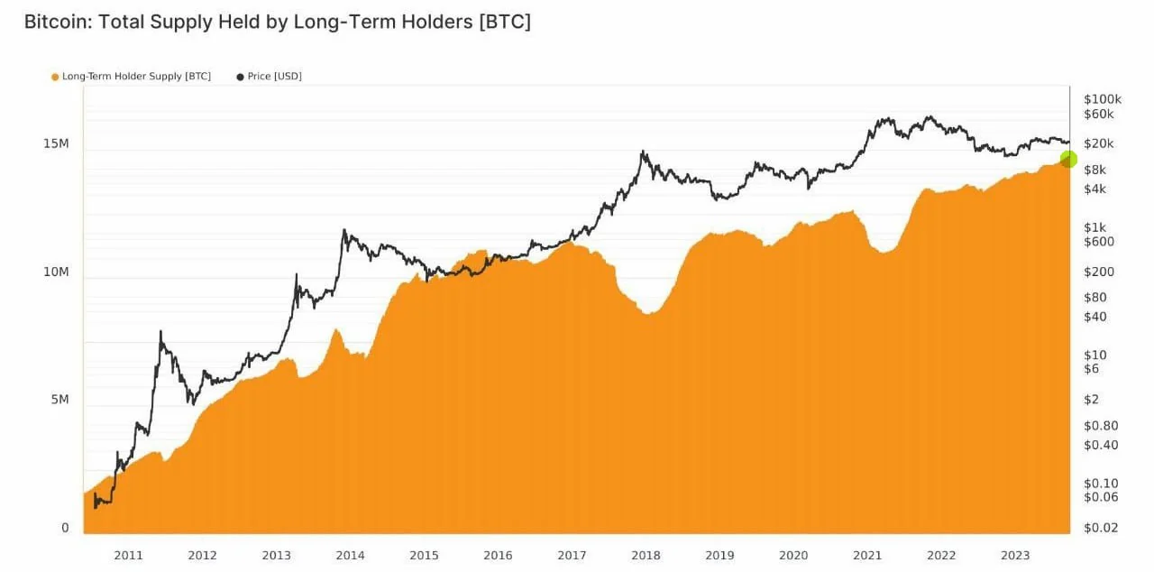 "Analisis Pemegang Jangka Panjang (LTH) Bitcoin 2025"