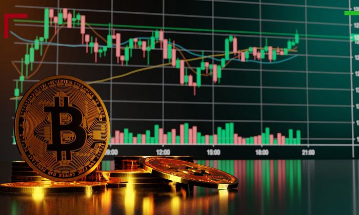 Tips Cari Altcoin Anomali yang Naik Saat Pasar Turun