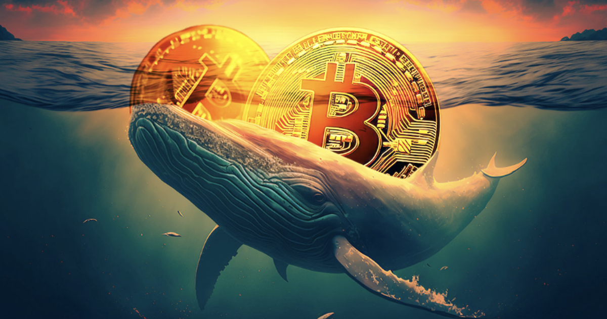 Whale Bitcoin Raup US$3,9 Juta Setelah Buka 300 Posisi Short