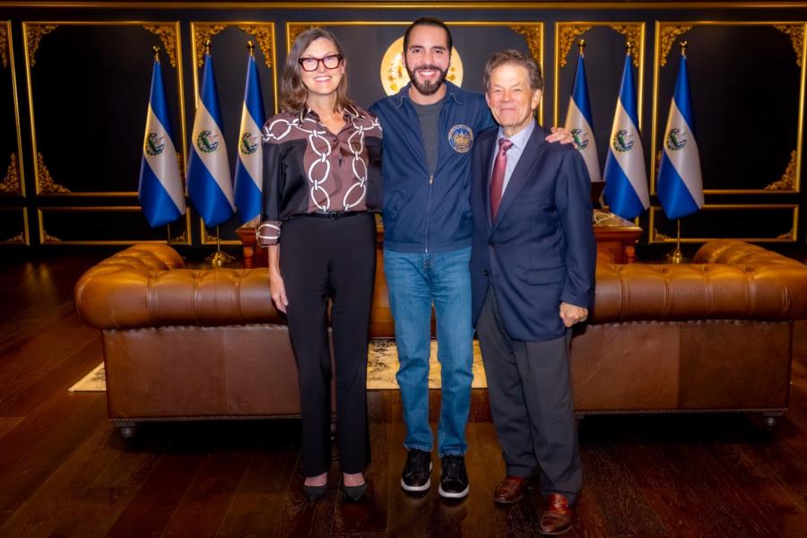 Cathie Wood Akan Jadi Pembicara Perdana Program AI di El Salvador