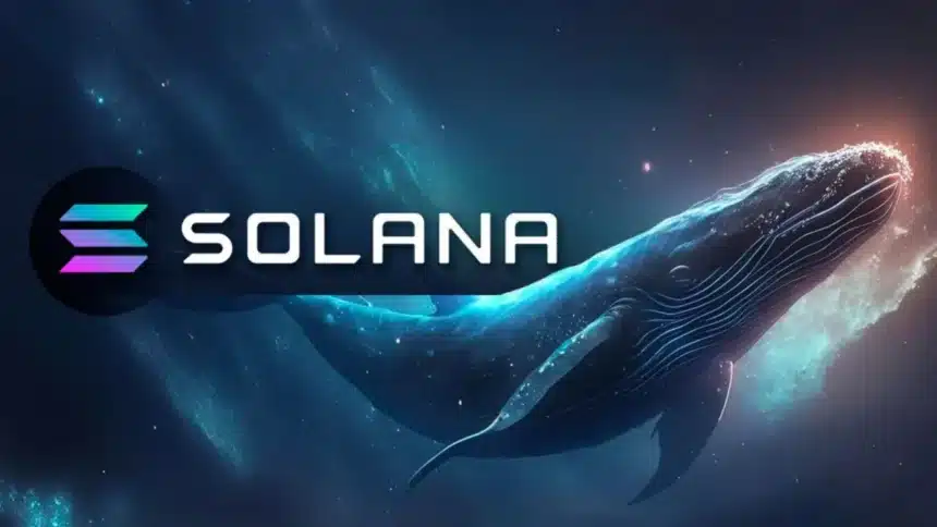 Whale Solana Lepaskan US$200 Juta Setelah Staking Dibuka