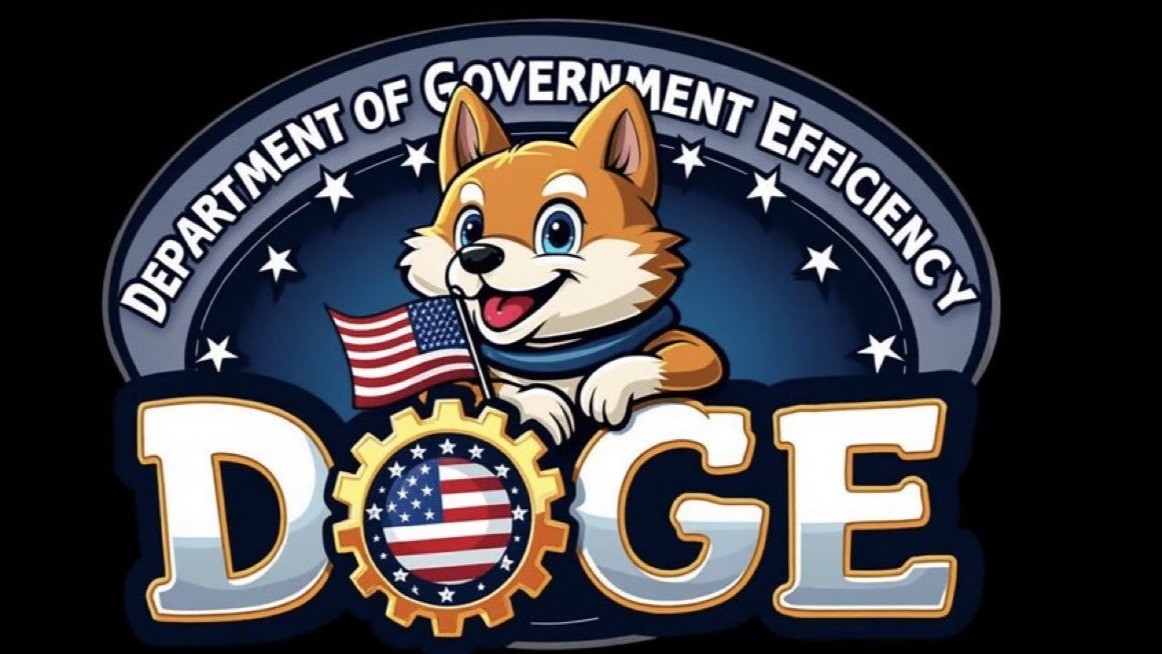 D.O.G.E Siapkan API Baru untuk Monitor dan Deteksi Sistem IRS