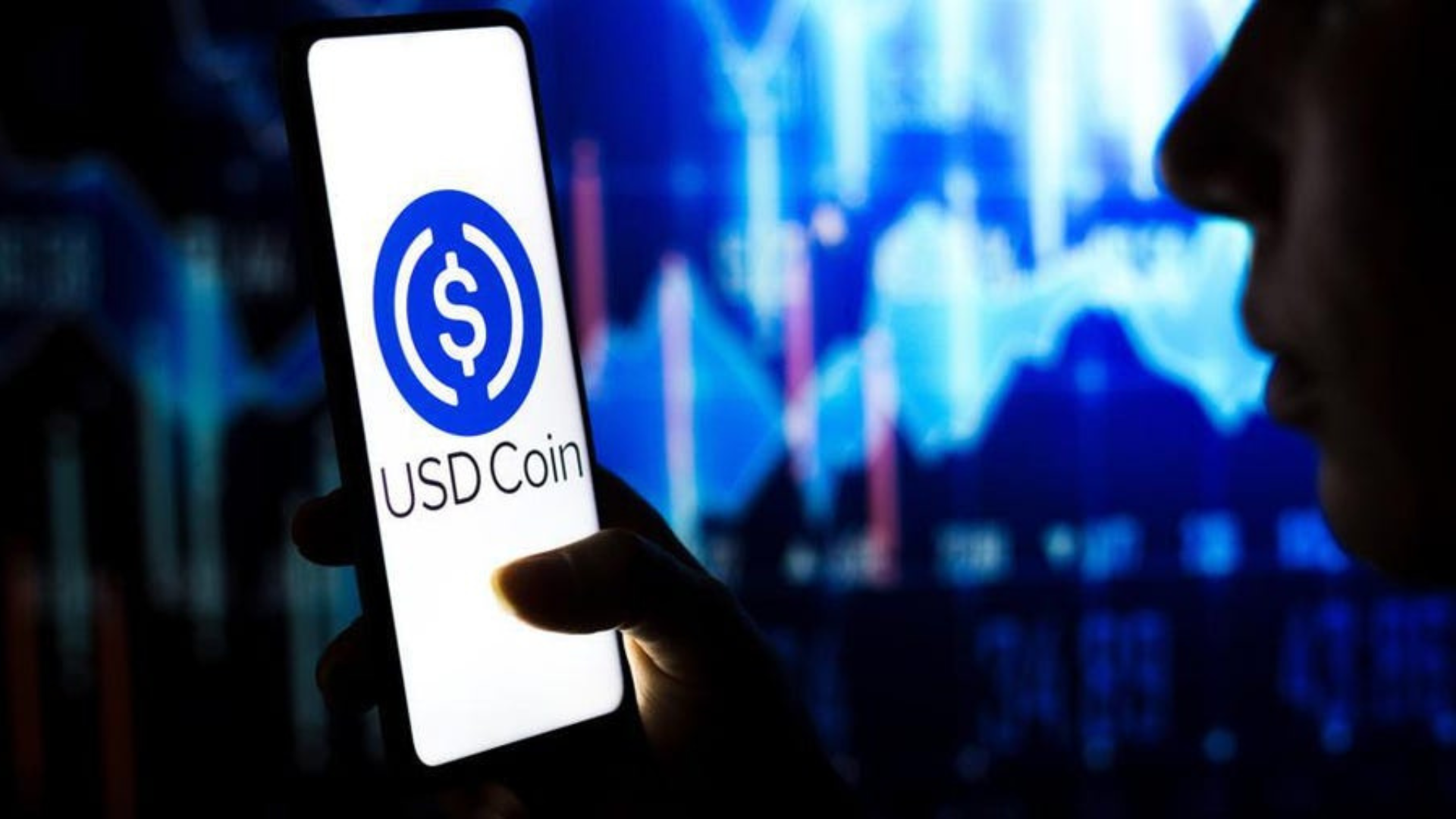 Circle Luncurkan Stablecoin untuk Transaksi Lintas Batas Institusi