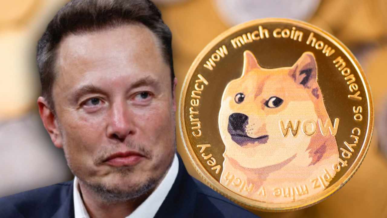 DOGE Turun 9% Setelah Elon Musk Bicara Soal Peran di Pemerintah