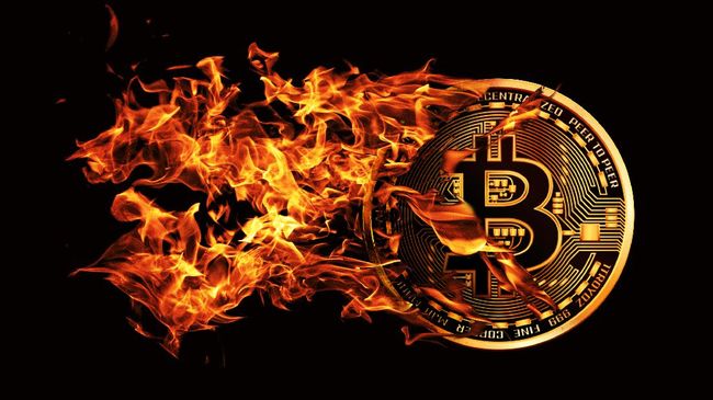 WFP Terima Donasi Bitcoin untuk Bantu 58 Juta Orang Kelaparan