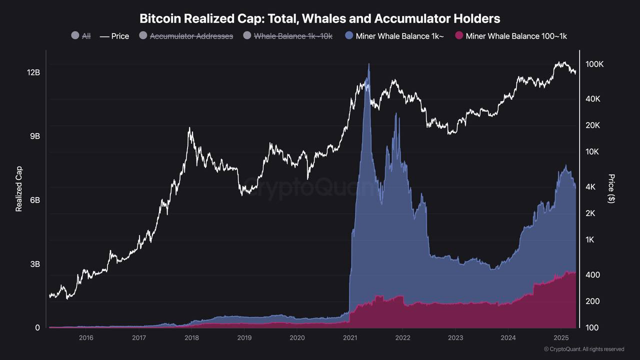 Whale Bitcoin 100–1K BTC Makin Dominan, Ambil Alih Pasar
