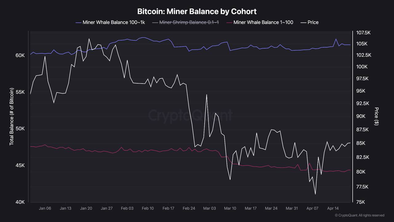 Divergensi Miner: Whale Bertahan, Miner Kecil Distribusi