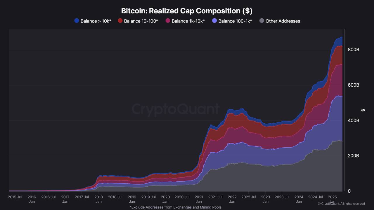 Komposisi Realized Cap Bitcoin: Dominasi Investor Besar
