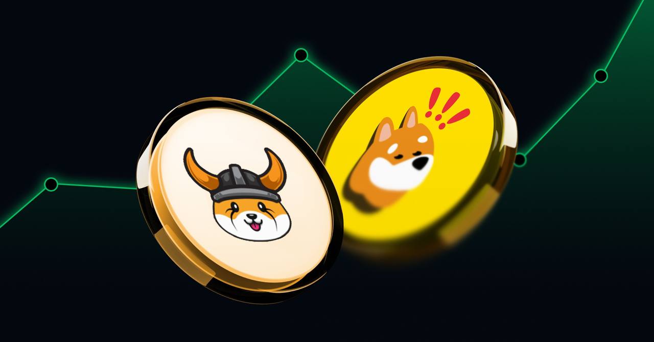 Floki dan Bonk Jadi Primadona di Tengah Reli Memecoin