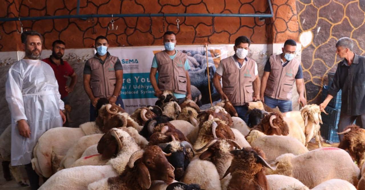 Qurban dengan Bitcoin dan Ethereum: Inovasi Digital Islamic Donate